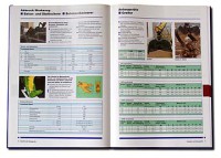 Katalog Layout Gestaltung Satz