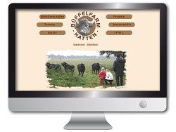 Wasserbüffel in Niedersachsen